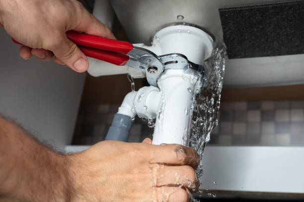 Best Water damage cleanup near me  in Old Fig Garden, CA
