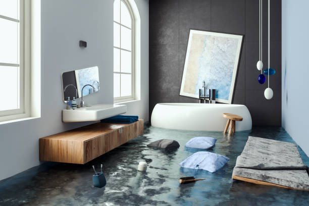 Best Water damage restoration company  in Old Fig Garden, CA