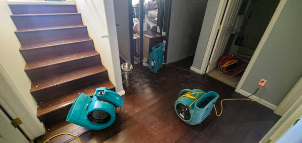 Best Basement water damage restoration  in Old Fig Garden, CA