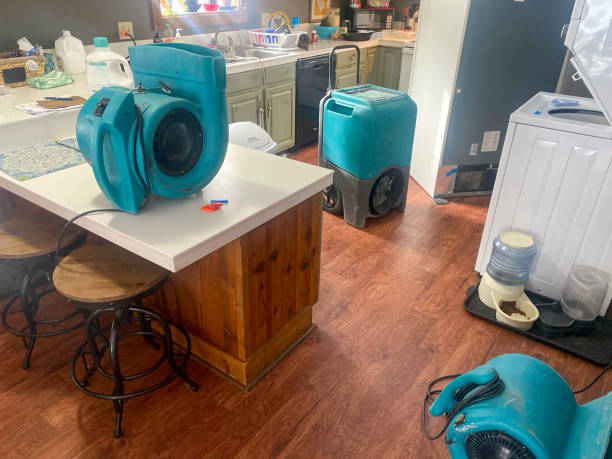 Best 24-hour water damage restoration  in Old Fig Garden, CA