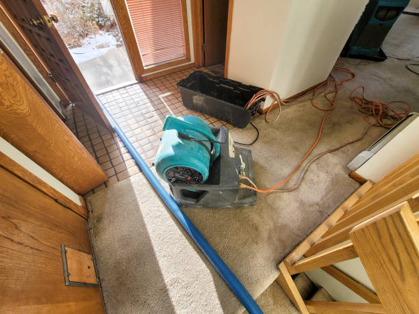Best Ceiling water damage repair  in Old Fig Garden, CA