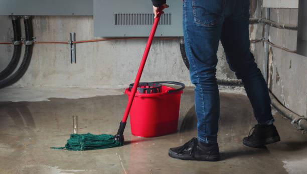 Best Commercial water damage restoration  in Old Fig Garden, CA