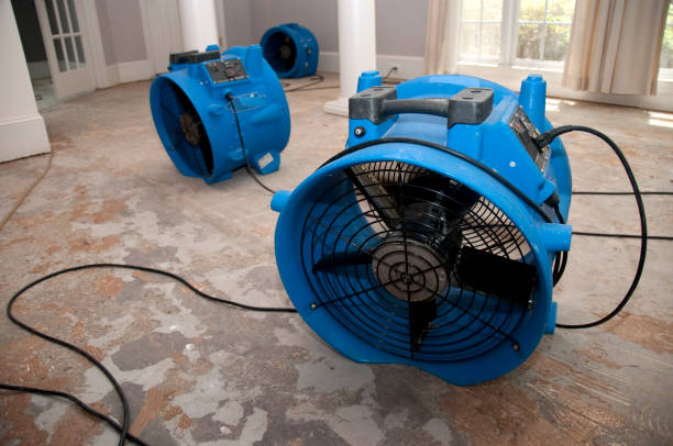 Best Water damage restoration near me  in Old Fig Garden, CA