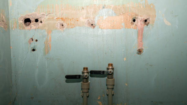 Best Residential water damage restoration  in Old Fig Garden, CA