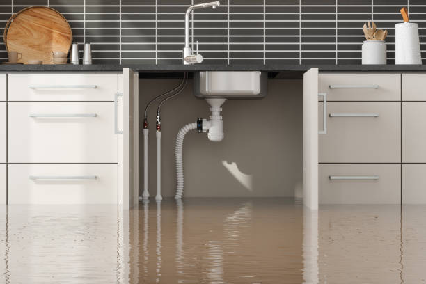 Best Commercial water damage restoration  in Old Fig Garden, CA