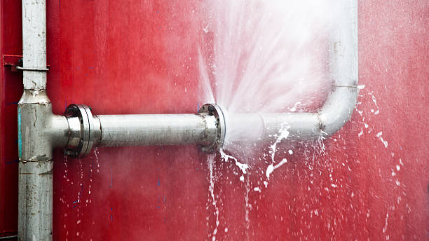 Best Carpet water damage restoration  in Old Fig Garden, CA