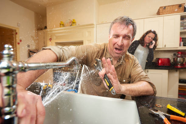 Best Professional water damage repair  in Old Fig Garden, CA